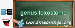 WordMeaning blackboard for genus toxostoma